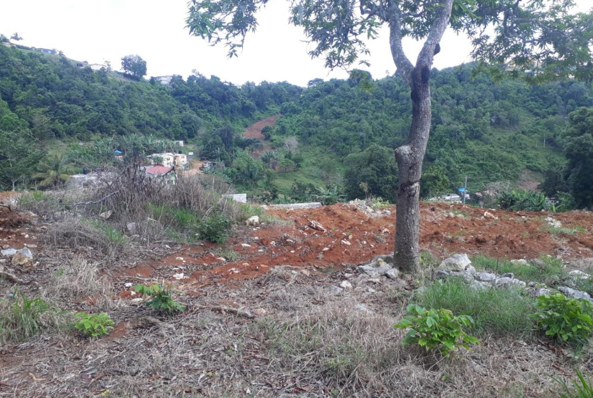 Tenth image of Splitbergen, Chudleigh in Christiana, Manchester, Jamaica - property is For Sale