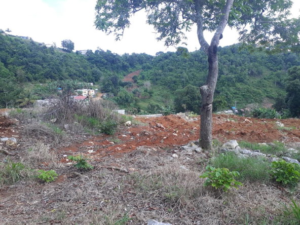 Tenth image of Splitbergen, Chudleigh in Christiana, Manchester, Jamaica - property is For Sale