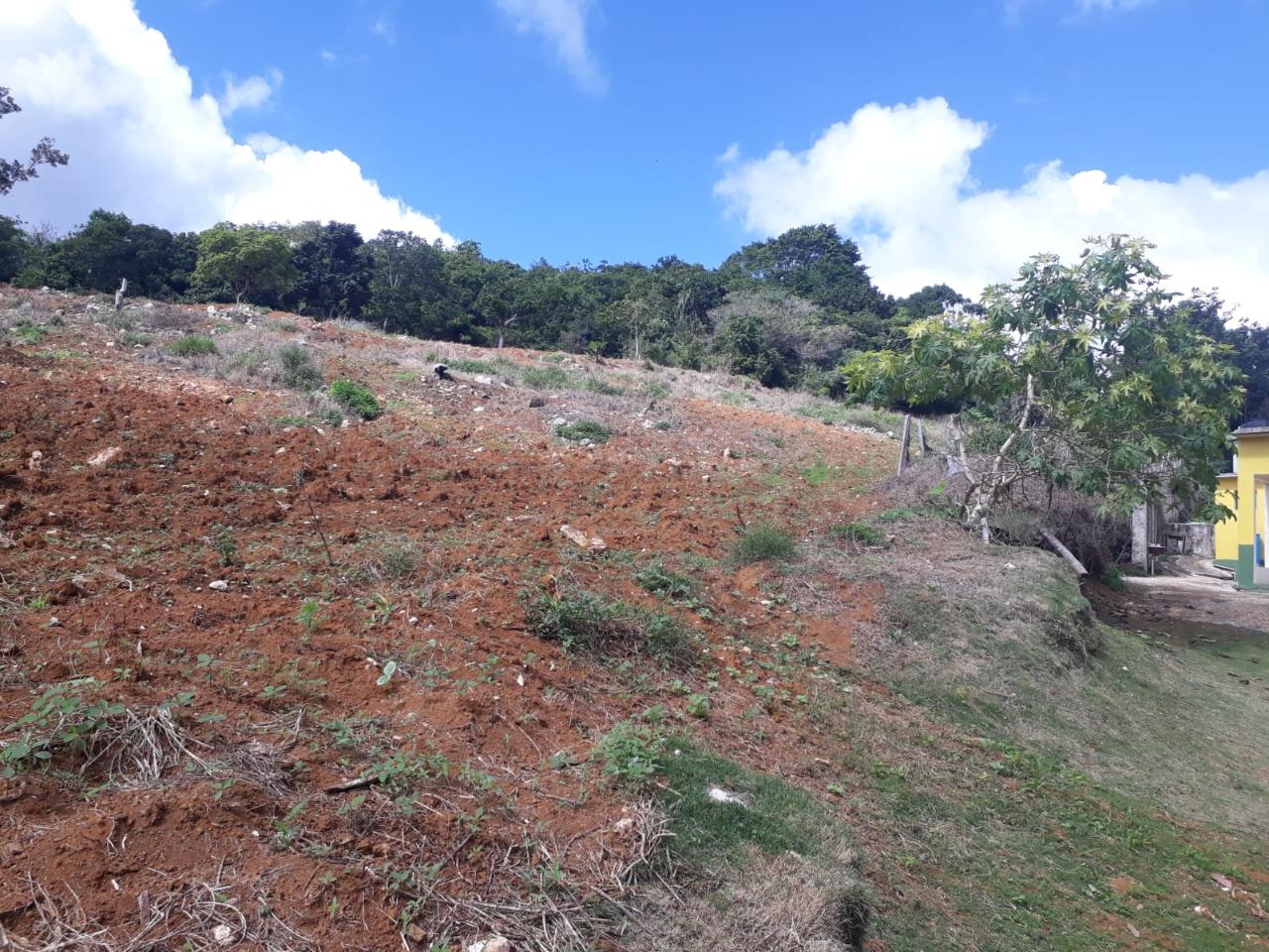 Prime-Residential-Development-Land-for-Sale-in-Chudleigh-Jamaica First image of Splitbergen, Chudleigh in Christiana, Manchester, Jamaica - property is For Sale