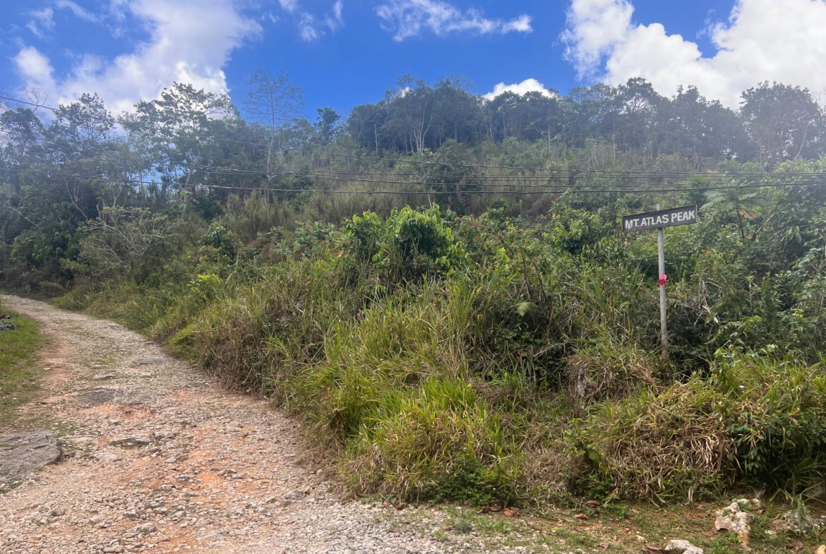 Eleventh image of Hays View, Coopers Hill in Red Hills, St. Andrew, Jamaica - property is For Sale
