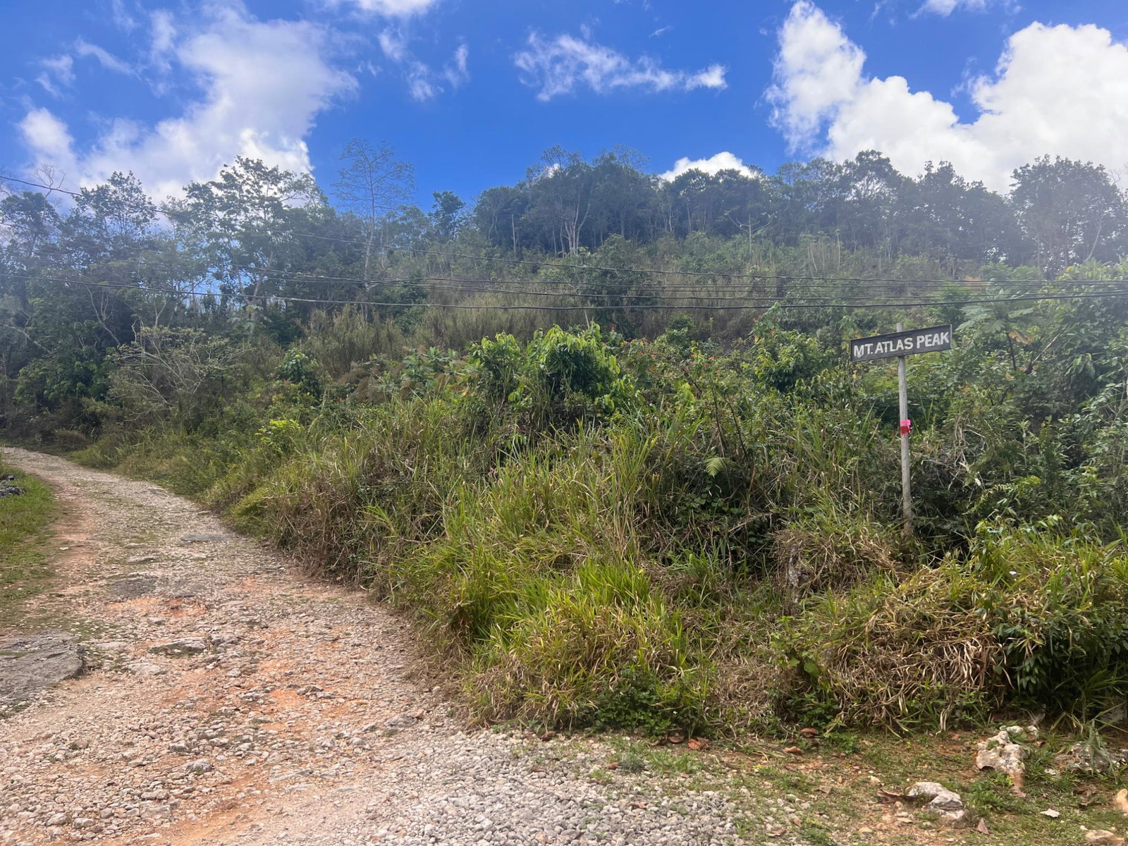 Eleventh image of Hays View, Coopers Hill in Red Hills, St. Andrew, Jamaica - property is For Sale