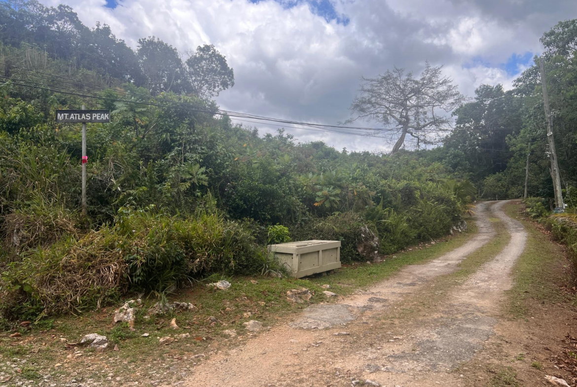 Twelfth image of Hays View, Coopers Hill in Red Hills, St. Andrew, Jamaica - property is For Sale