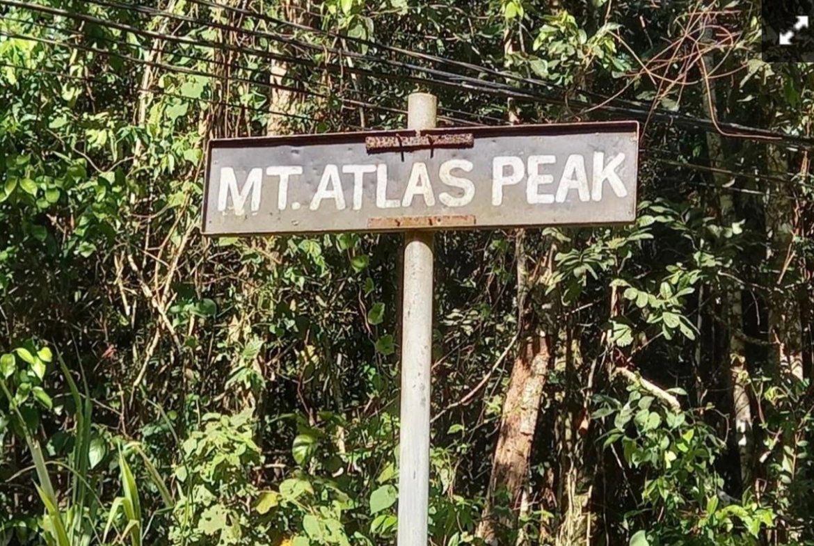 Fourteenth image of Hays View, Coopers Hill in Red Hills, St. Andrew, Jamaica - property is For Sale