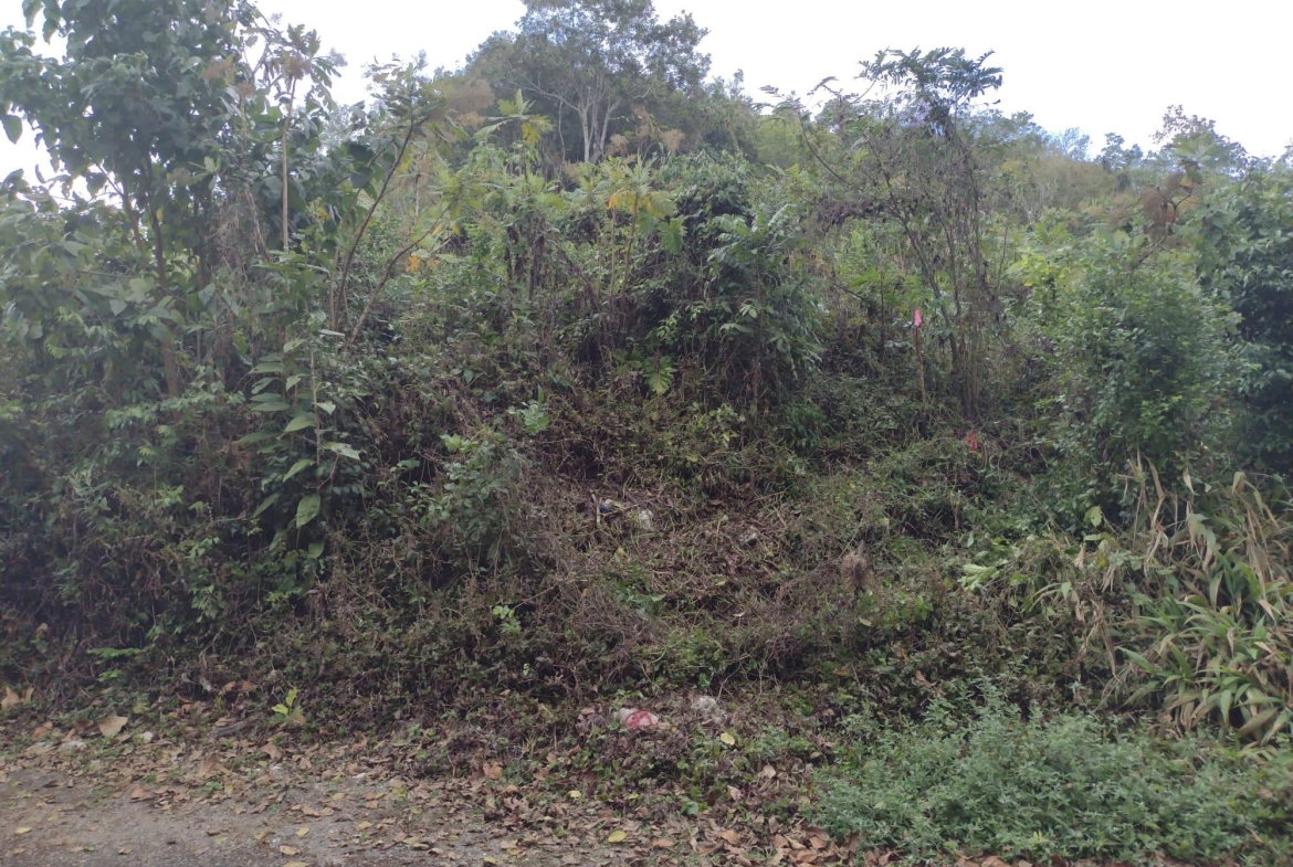 Third image of Hays View, Coopers Hill in Red Hills, St. Andrew, Jamaica - property is For Sale