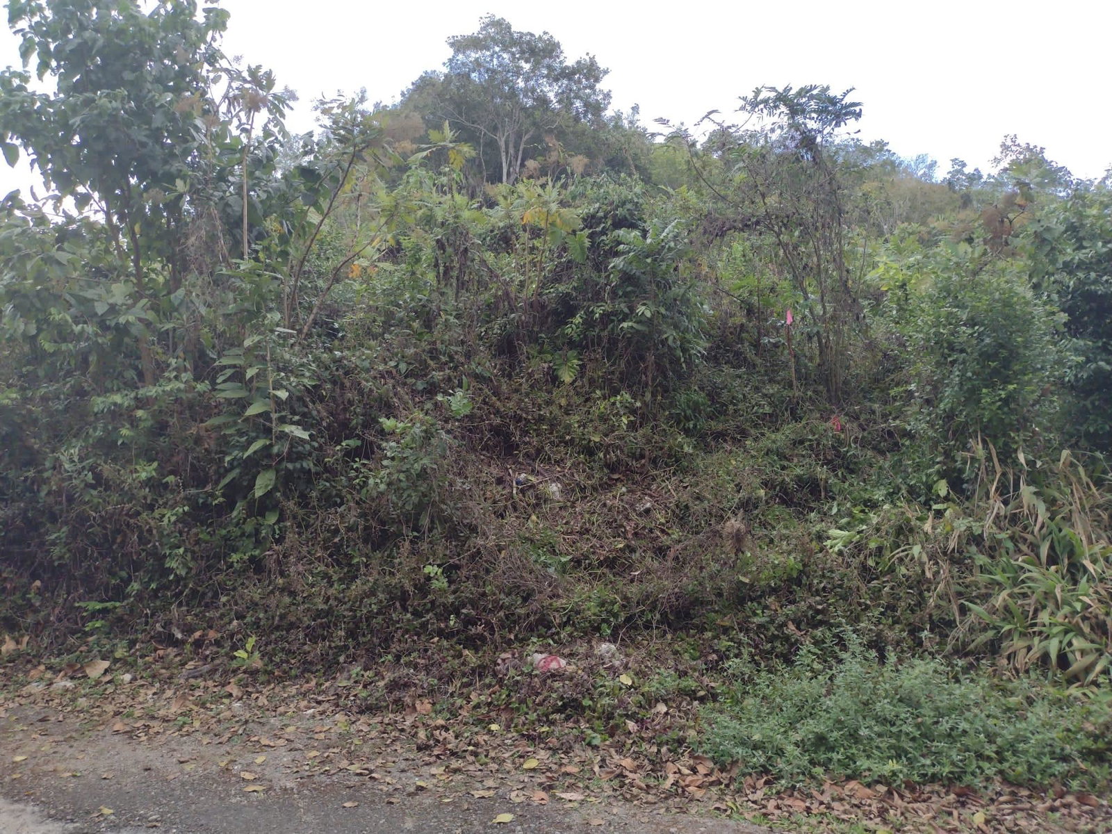 Third image of Hays View, Coopers Hill in Red Hills, St. Andrew, Jamaica - property is For Sale