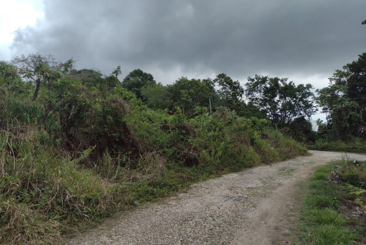 Fourth image of Hays View, Coopers Hill in Red Hills, St. Andrew, Jamaica - property is For Sale