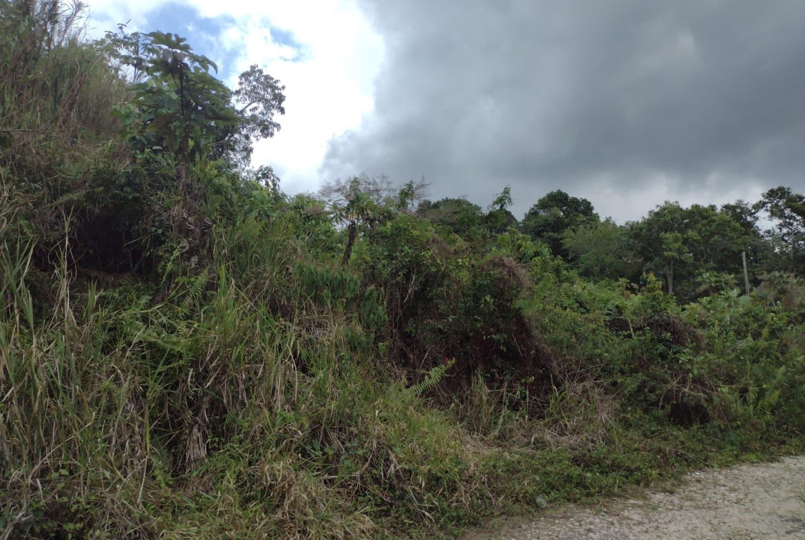 Fifth image of Hays View, Coopers Hill in Red Hills, St. Andrew, Jamaica - property is For Sale