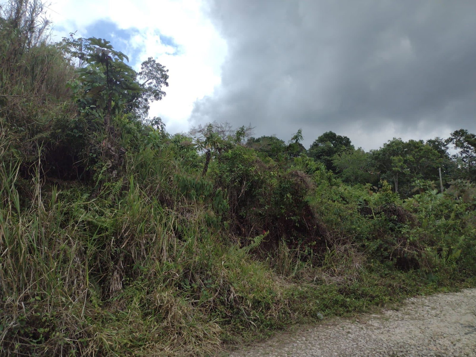 Fifth image of Hays View, Coopers Hill in Red Hills, St. Andrew, Jamaica - property is For Sale