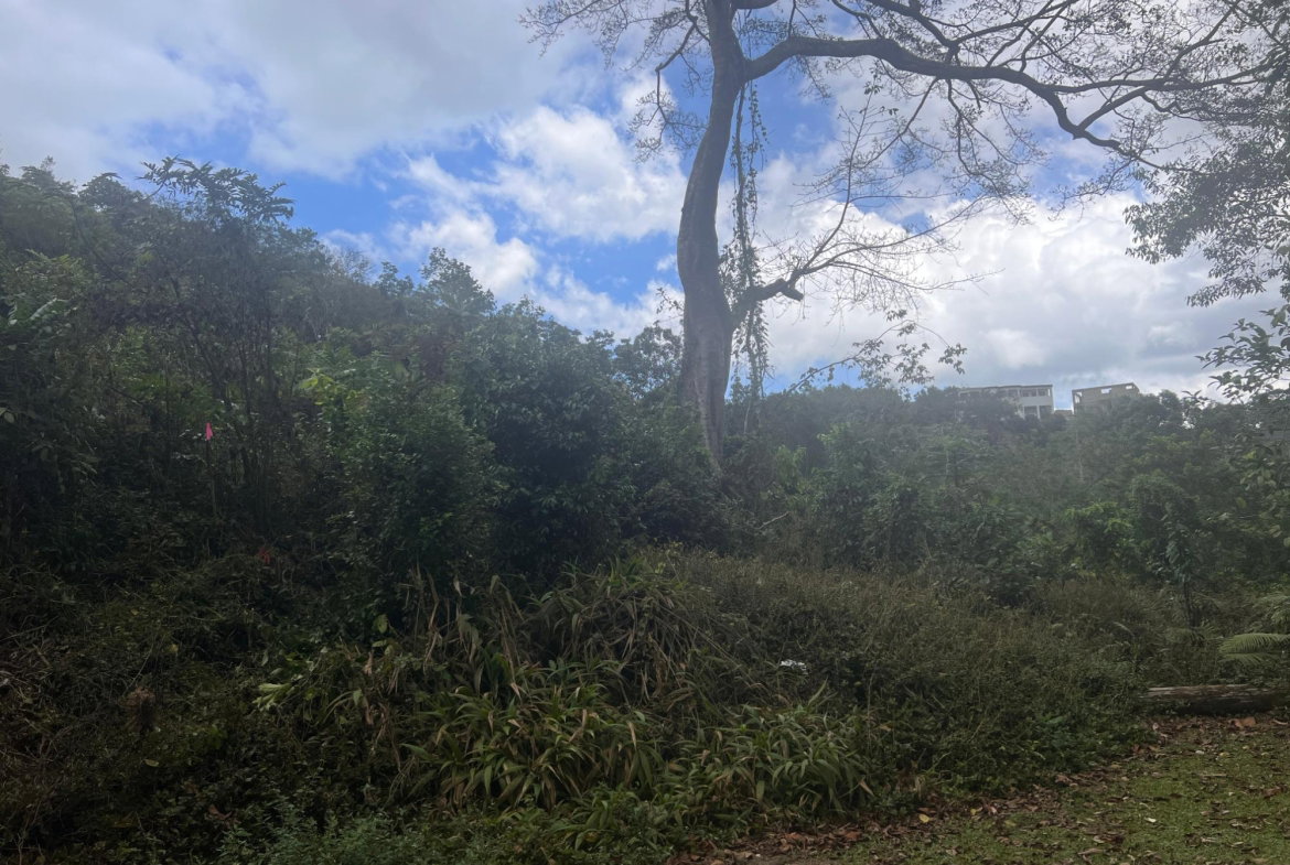 Sixth image of Hays View, Coopers Hill in Red Hills, St. Andrew, Jamaica - property is For Sale