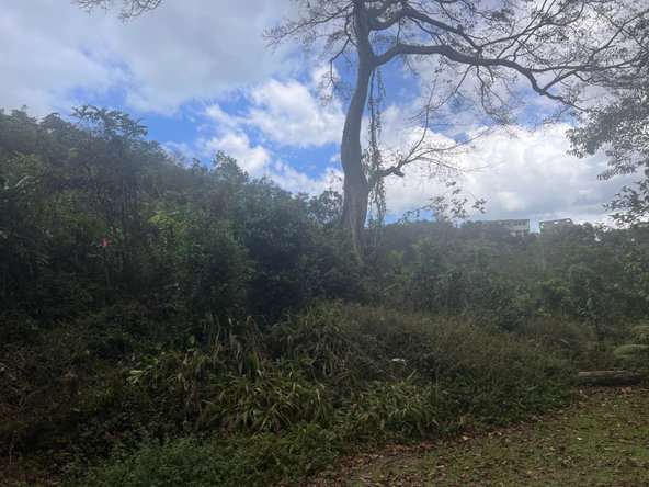 Sixth image of Hays View, Coopers Hill in Red Hills, St. Andrew, Jamaica - property is For Sale