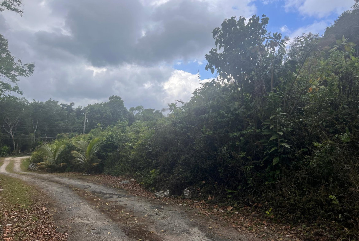 Seventh image of Hays View, Coopers Hill in Red Hills, St. Andrew, Jamaica - property is For Sale