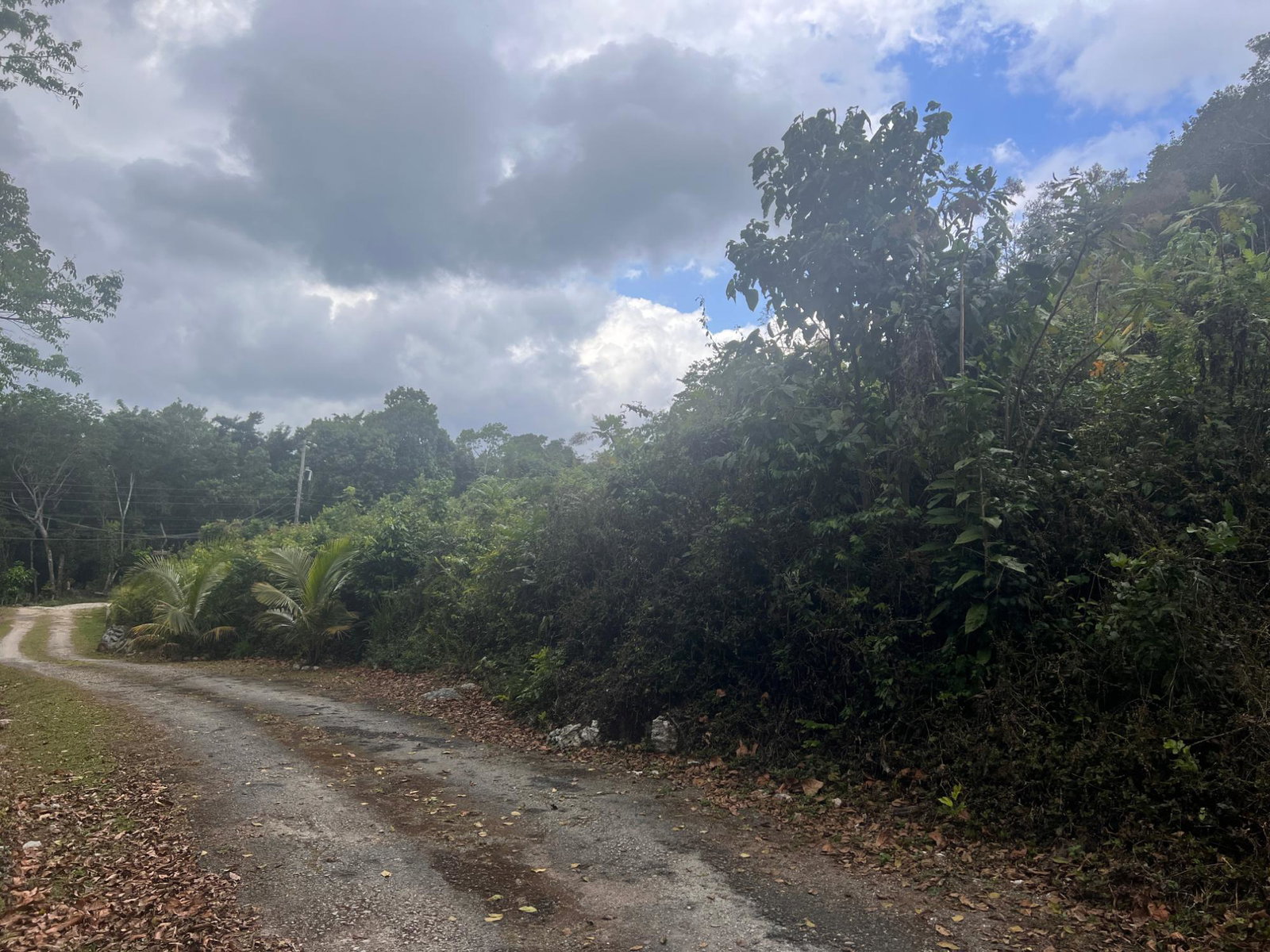 Seventh image of Hays View, Coopers Hill in Red Hills, St. Andrew, Jamaica - property is For Sale
