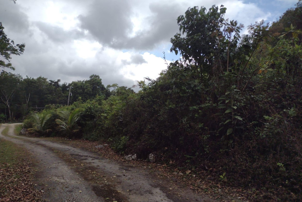 Eighth image of Hays View, Coopers Hill in Red Hills, St. Andrew, Jamaica - property is For Sale