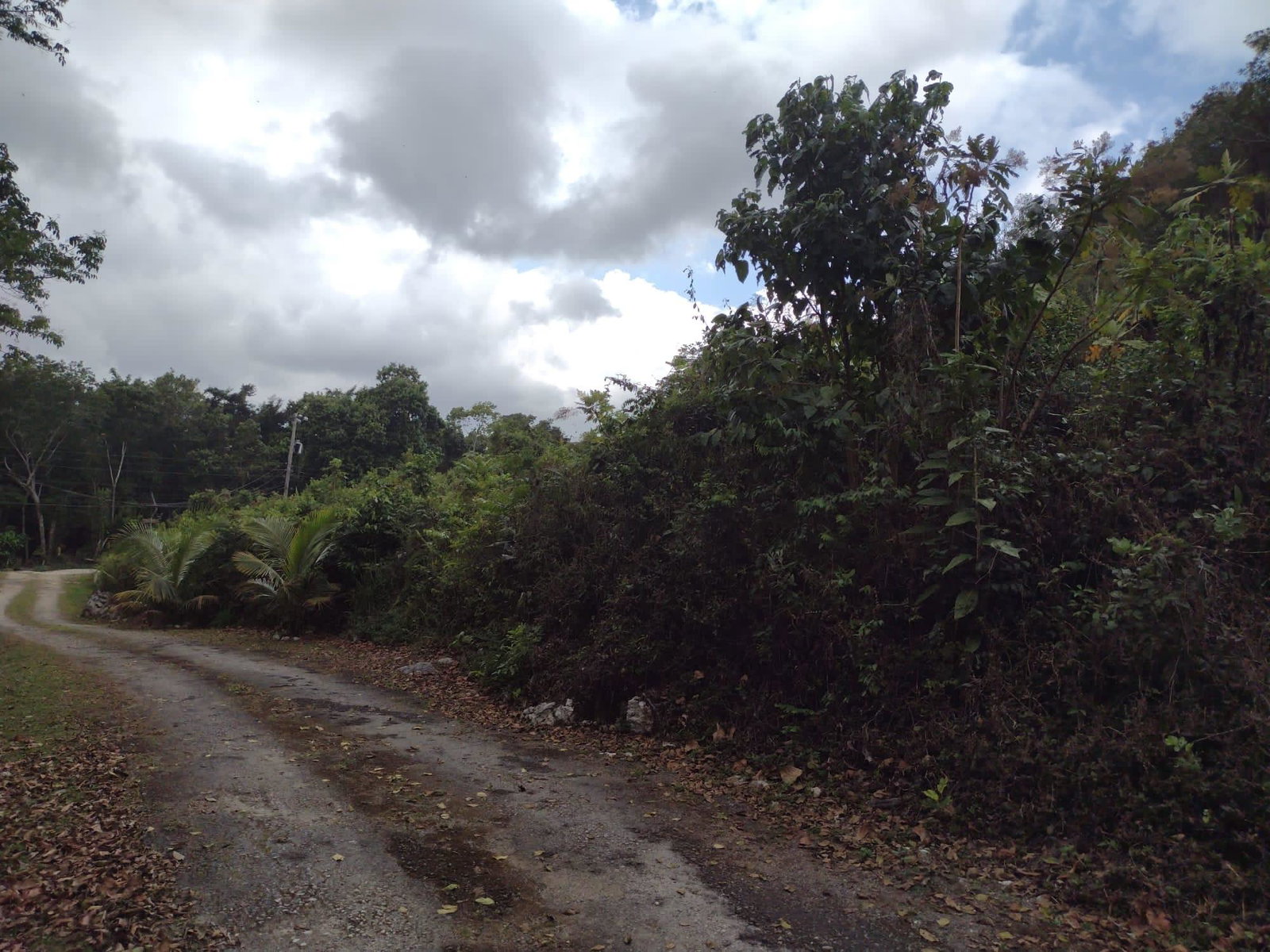 Eighth image of Hays View, Coopers Hill in Red Hills, St. Andrew, Jamaica - property is For Sale