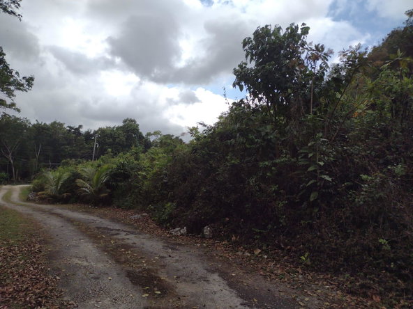 Eighth image of Hays View, Coopers Hill in Red Hills, St. Andrew, Jamaica - property is For Sale