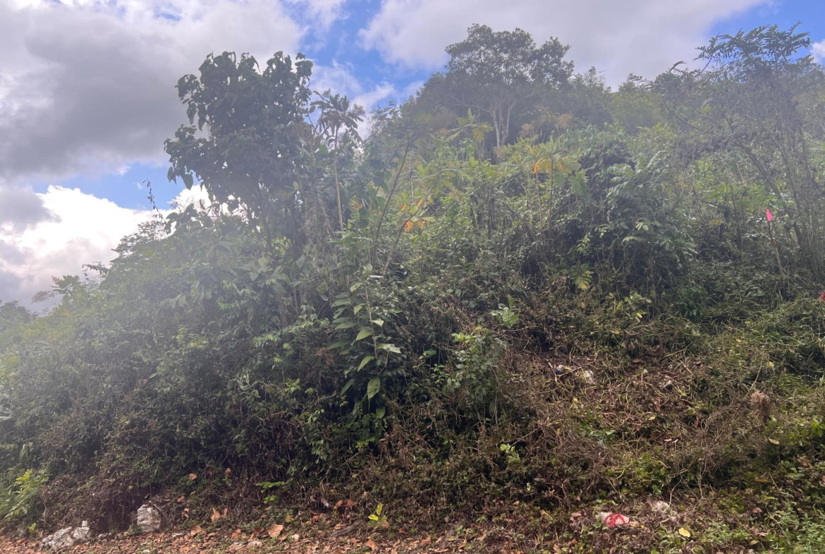 Ninth image of Hays View, Coopers Hill in Red Hills, St. Andrew, Jamaica - property is For Sale