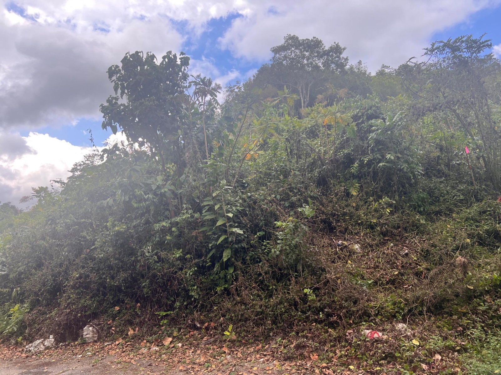 Ninth image of Hays View, Coopers Hill in Red Hills, St. Andrew, Jamaica - property is For Sale