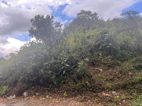 Ninth image of Hays View, Coopers Hill in Red Hills, St. Andrew, Jamaica - property is For Sale