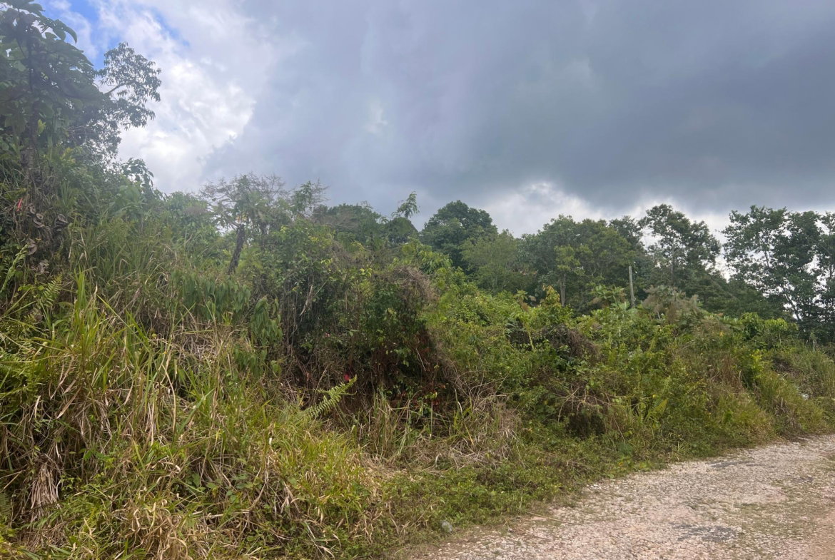 Tenth image of Hays View, Coopers Hill in Red Hills, St. Andrew, Jamaica - property is For Sale