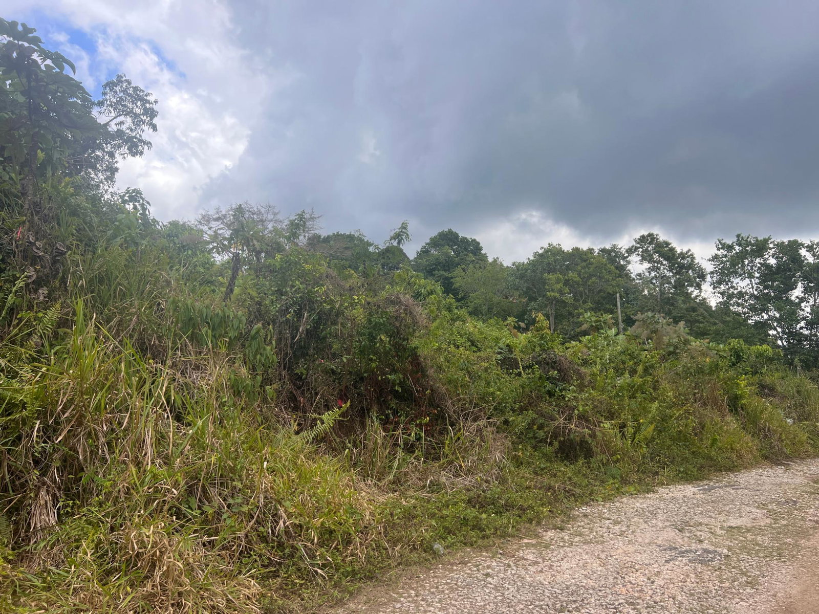 Tenth image of Hays View, Coopers Hill in Red Hills, St. Andrew, Jamaica - property is For Sale