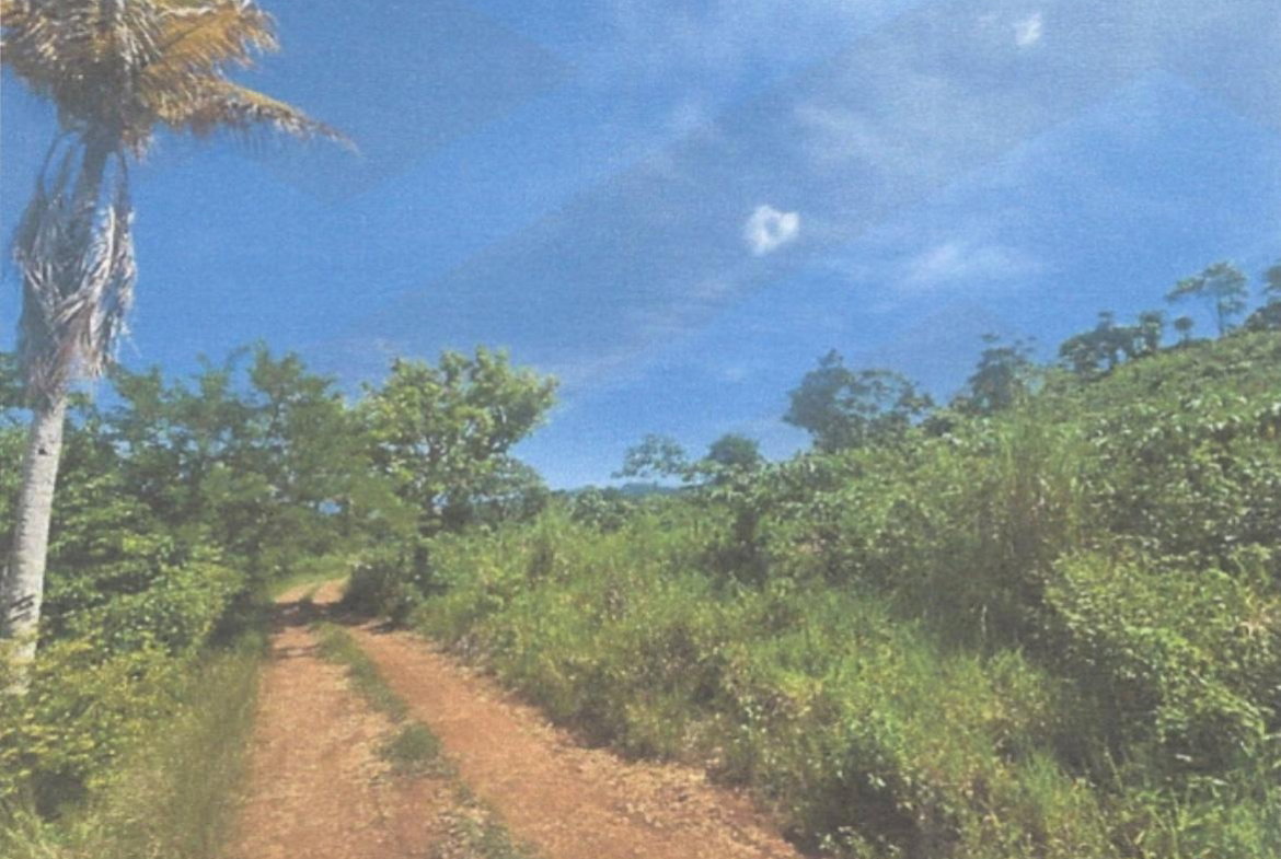 Second image of Lot 2 Hawes Pen in Oracabessa, St. Mary, Jamaica - property is For Sale