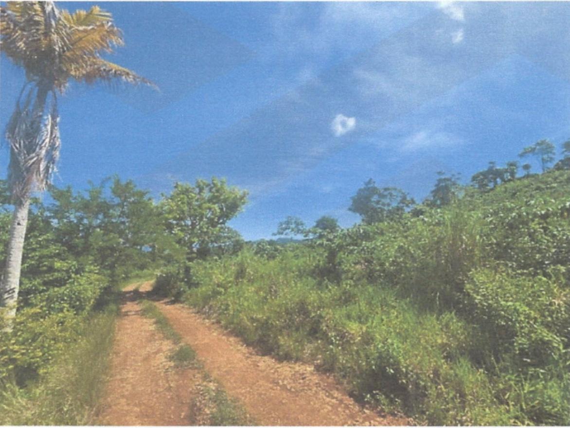 Second image of Lot 2 Hawes Pen in Oracabessa, St. Mary, Jamaica - property is For Sale