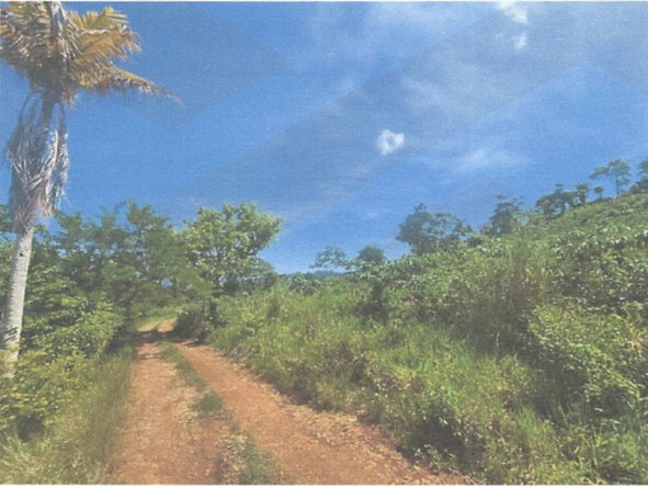Second image of Lot 2 Hawes Pen in Oracabessa, St. Mary, Jamaica - property is For Sale