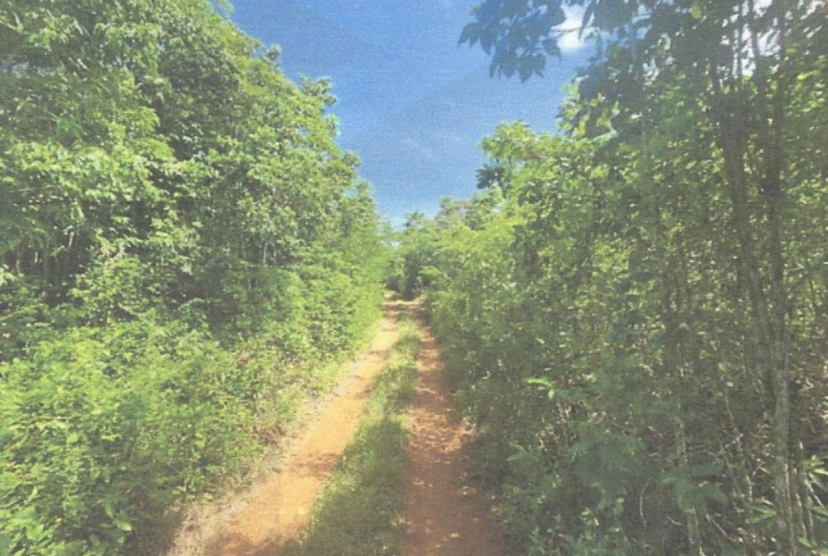 Eleventh image of Lot 2 Hawes Pen in Oracabessa, St. Mary, Jamaica - property is For Sale