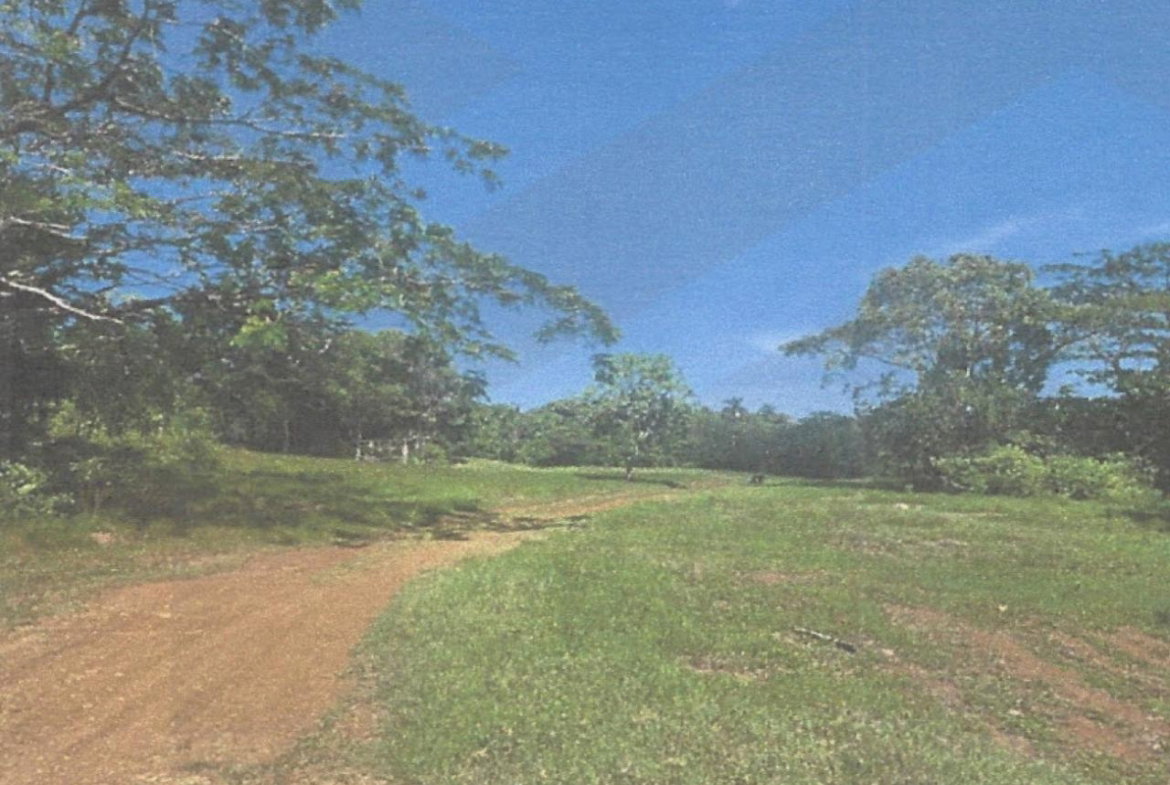Twelfth image of Lot 2 Hawes Pen in Oracabessa, St. Mary, Jamaica - property is For Sale
