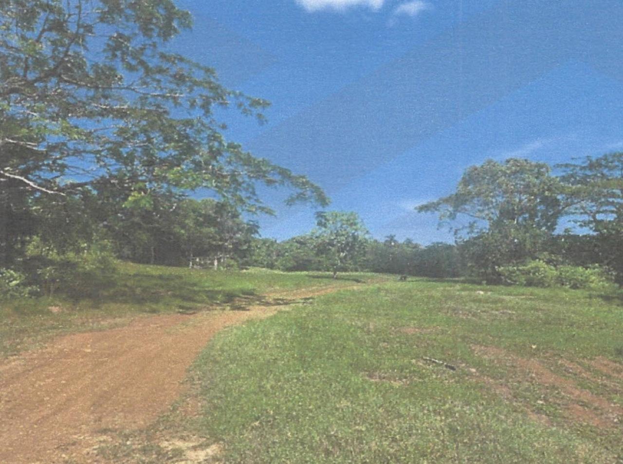 Twelfth image of Lot 2 Hawes Pen in Oracabessa, St. Mary, Jamaica - property is For Sale