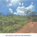First image of Lot 2 Hawes Pen in Oracabessa, St. Mary, Jamaica - property is For Sale