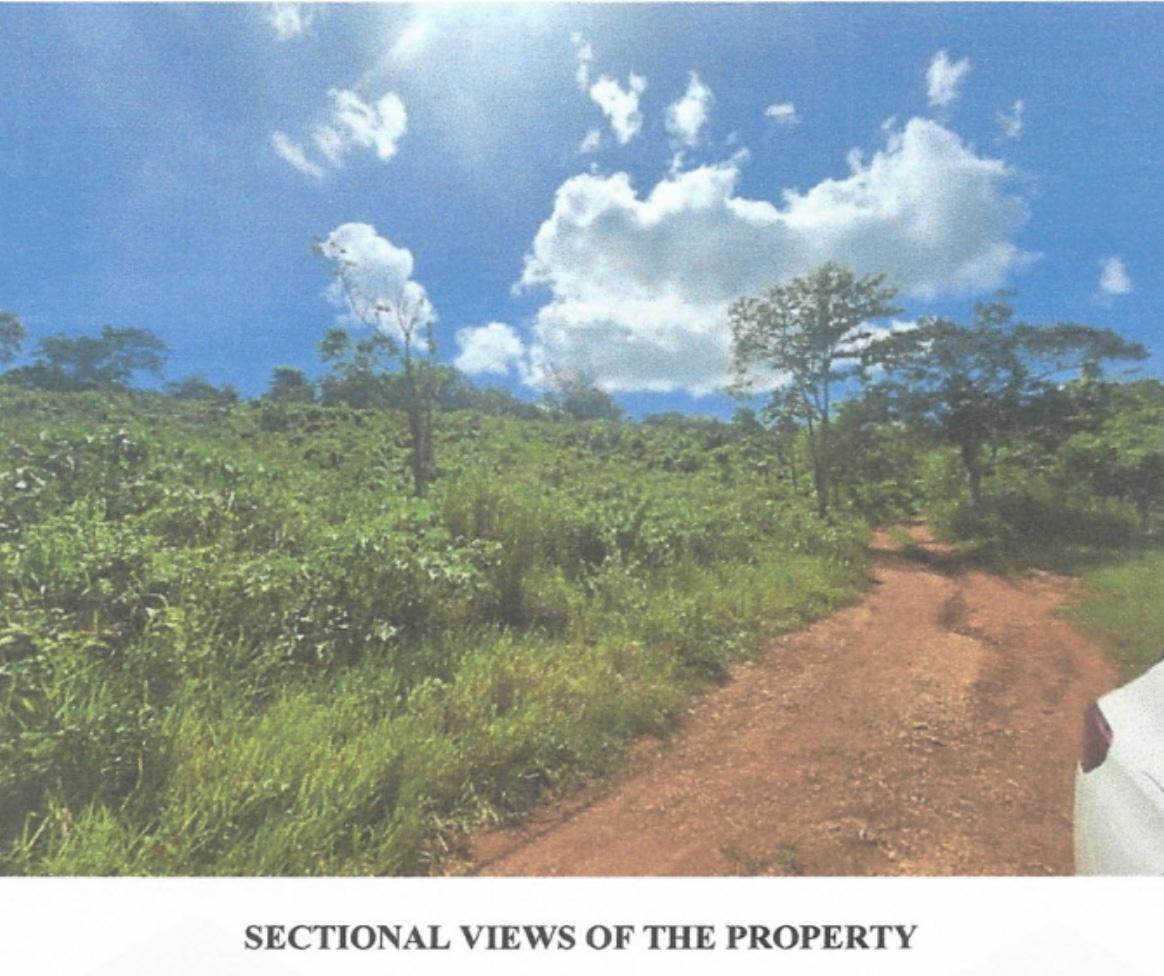 Third image of Lot 2 Hawes Pen in Oracabessa, St. Mary, Jamaica - property is For Sale