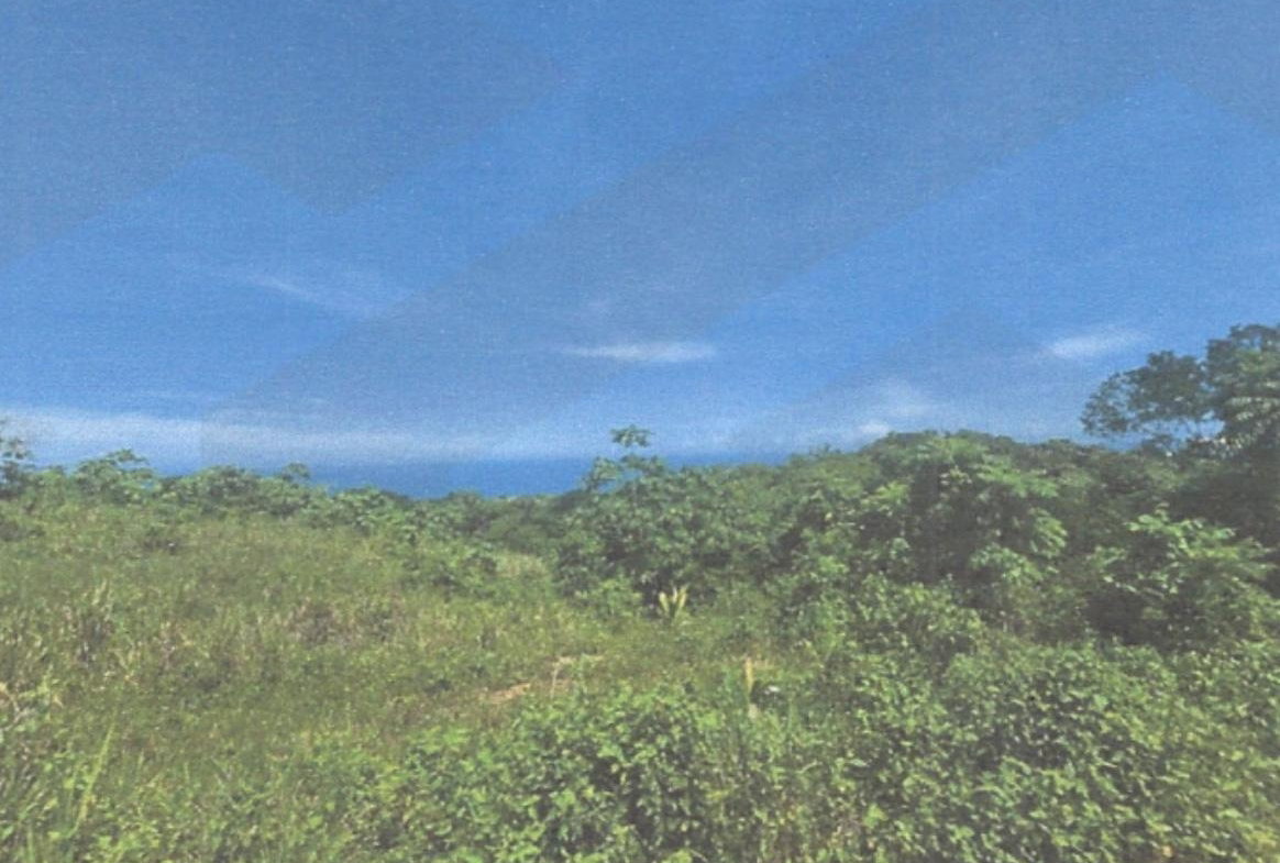 Fifth image of Lot 2 Hawes Pen in Oracabessa, St. Mary, Jamaica - property is For Sale