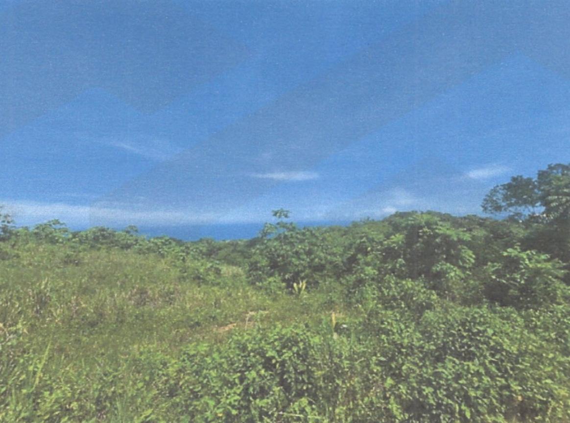 Fifth image of Lot 2 Hawes Pen in Oracabessa, St. Mary, Jamaica - property is For Sale