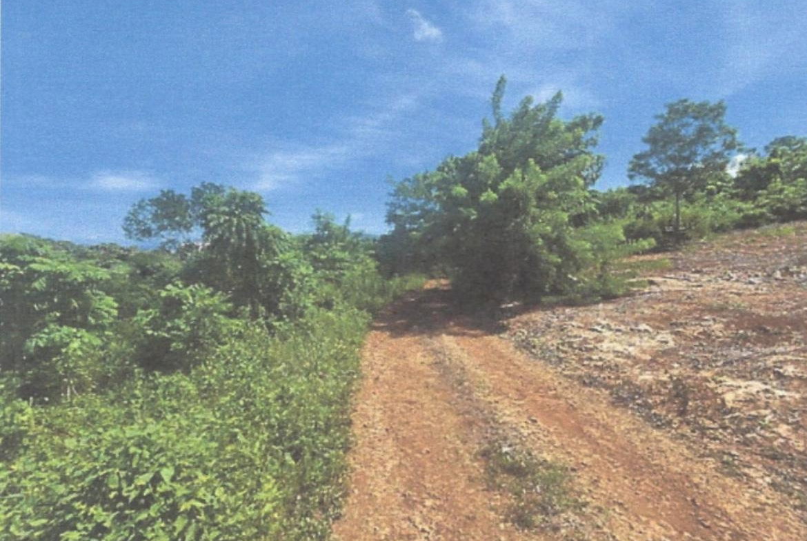 Sixth image of Lot 2 Hawes Pen in Oracabessa, St. Mary, Jamaica - property is For Sale