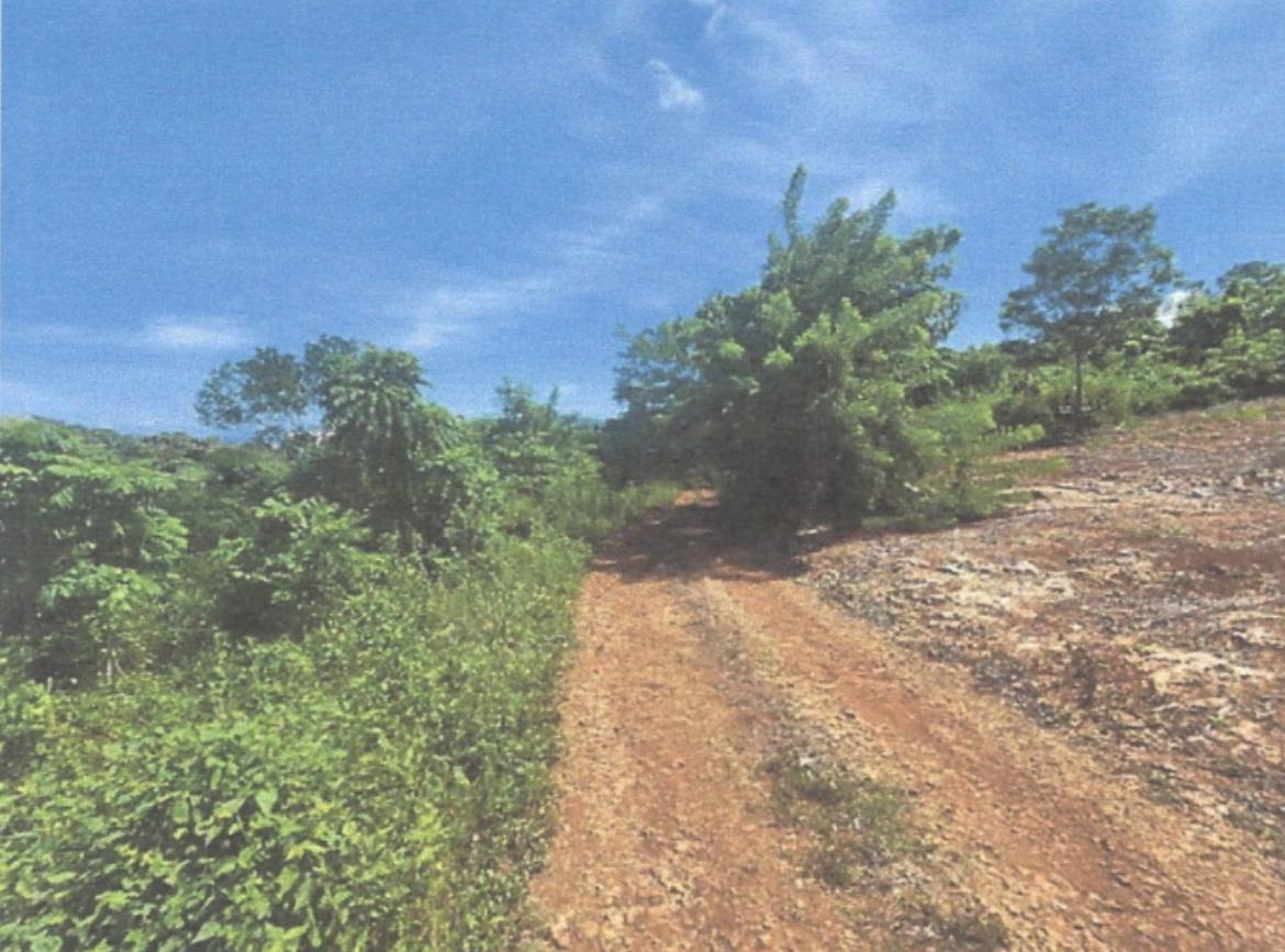 Sixth image of Lot 2 Hawes Pen in Oracabessa, St. Mary, Jamaica - property is For Sale