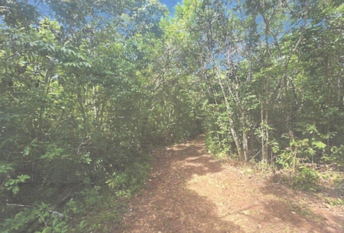 Seventh image of Lot 2 Hawes Pen in Oracabessa, St. Mary, Jamaica - property is For Sale