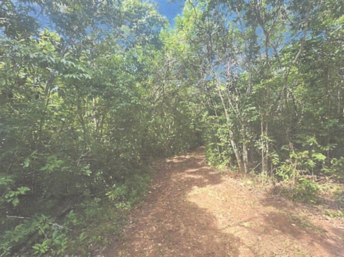 Seventh image of Lot 2 Hawes Pen in Oracabessa, St. Mary, Jamaica - property is For Sale