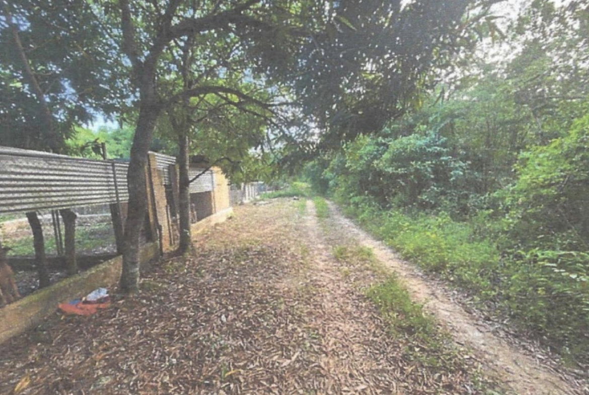 Eighth image of Lot 2 Hawes Pen in Oracabessa, St. Mary, Jamaica - property is For Sale