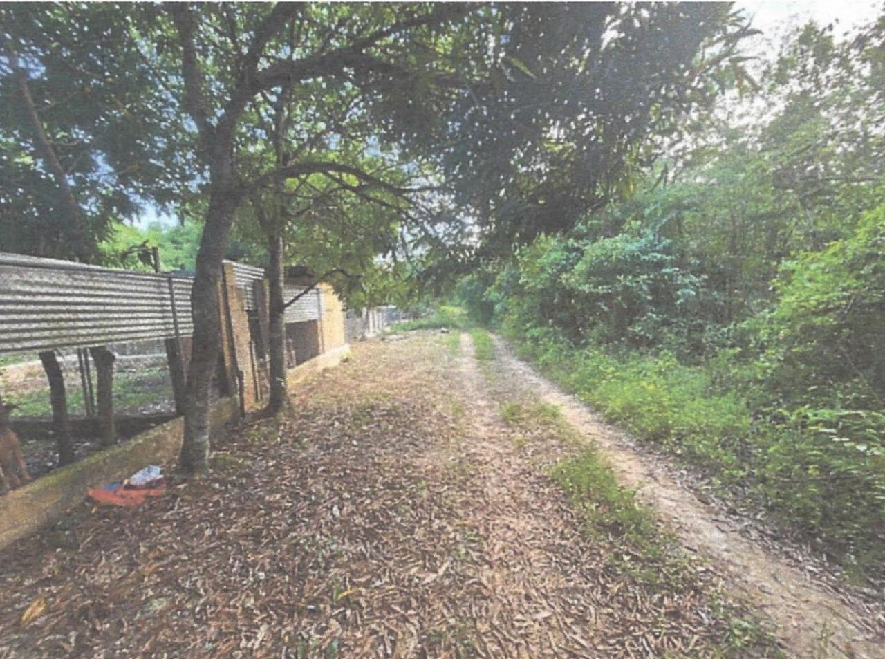Eighth image of Lot 2 Hawes Pen in Oracabessa, St. Mary, Jamaica - property is For Sale