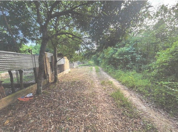 Eighth image of Lot 2 Hawes Pen in Oracabessa, St. Mary, Jamaica - property is For Sale