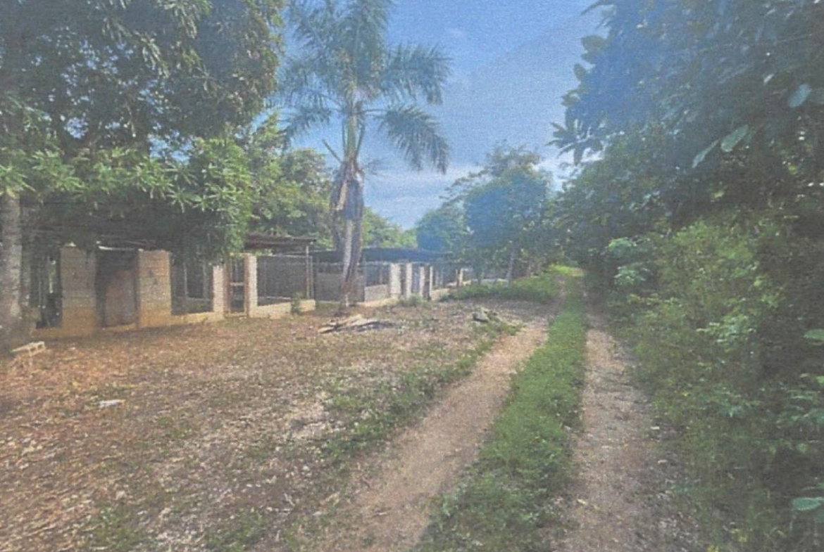 Ninth image of Lot 2 Hawes Pen in Oracabessa, St. Mary, Jamaica - property is For Sale