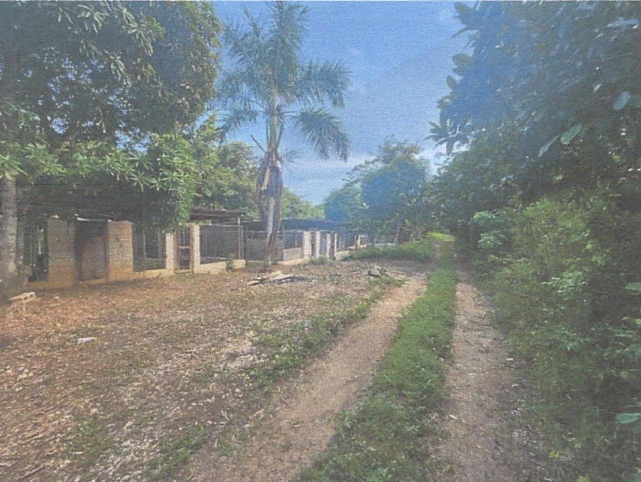 Ninth image of Lot 2 Hawes Pen in Oracabessa, St. Mary, Jamaica - property is For Sale
