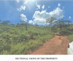 First image of Lot 2 Hawes Pen in Oracabessa, St. Mary, Jamaica - property is For Sale