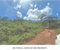 First image of Lot 2 Hawes Pen in Oracabessa, St. Mary, Jamaica - property is For Sale