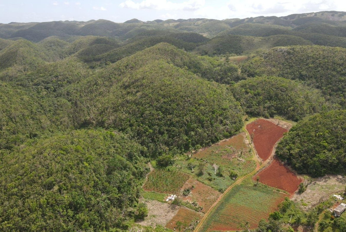 Second image of Donnington in Mandeville, Manchester, Jamaica - property is For Sale