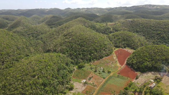 Second image of Donnington in Mandeville, Manchester, Jamaica - property is For Sale
