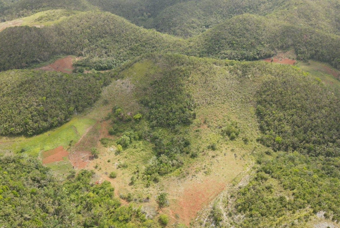 First image of Donnington in Mandeville, Manchester, Jamaica - property is For Sale