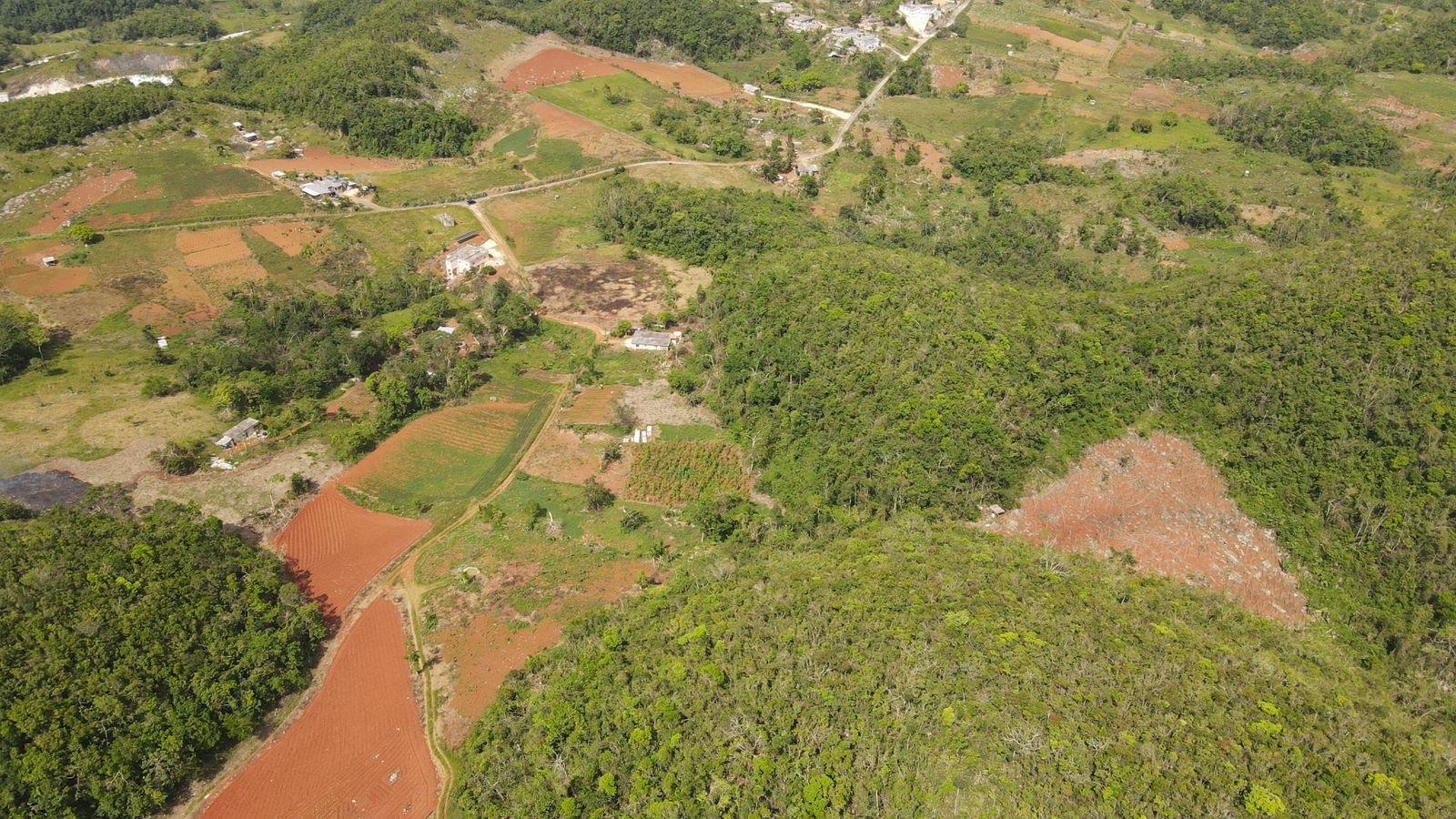 Third image of Donnington in Mandeville, Manchester, Jamaica - property is For Sale