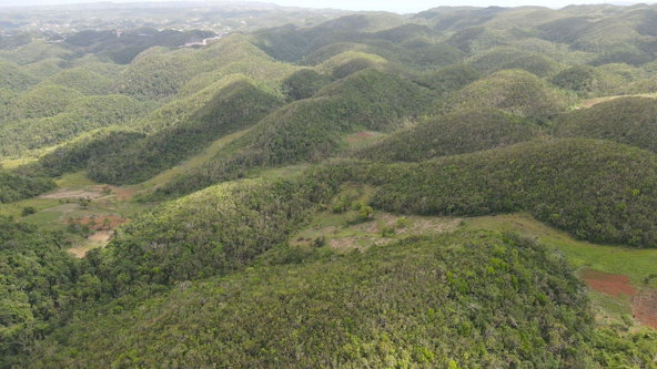Fourth image of Donnington in Mandeville, Manchester, Jamaica - property is For Sale